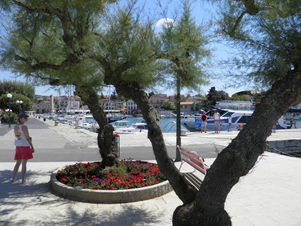 Apartments Lea With Pool مالينسكا المظهر الخارجي الصورة